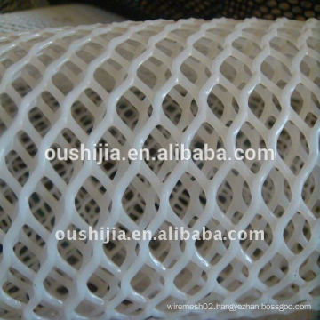 white plastic plain netting(The factory)